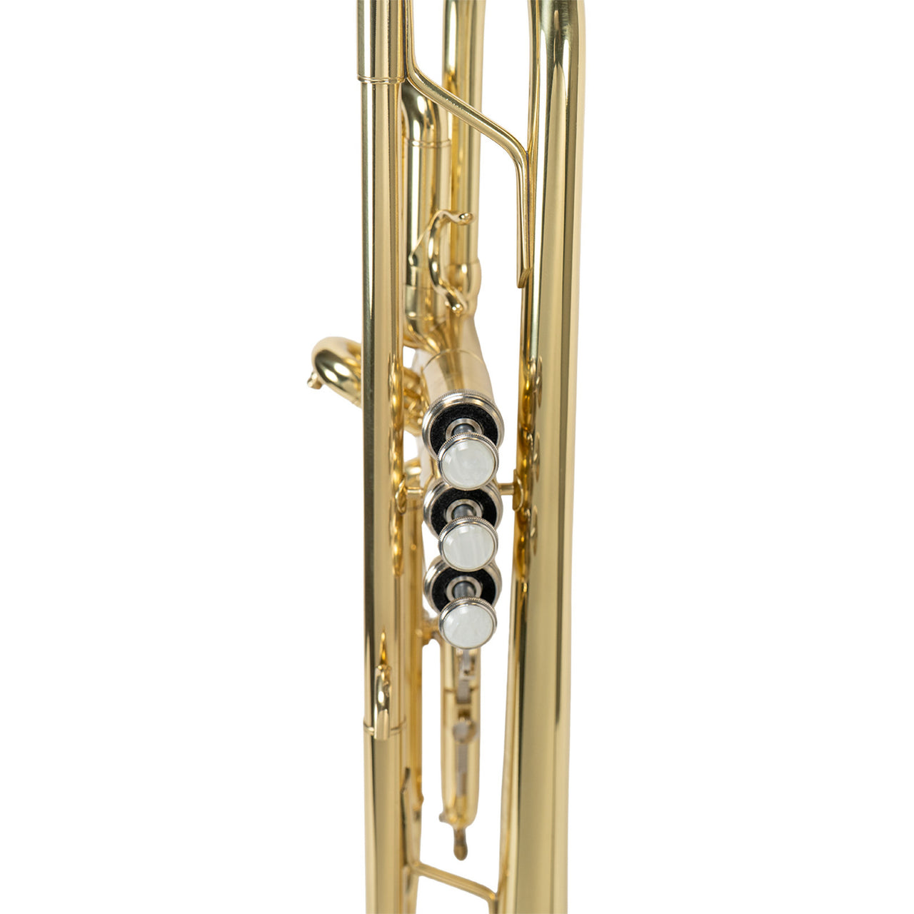 Trompeta Benjamin Adams TP100 Bb Dorada Con Estuche