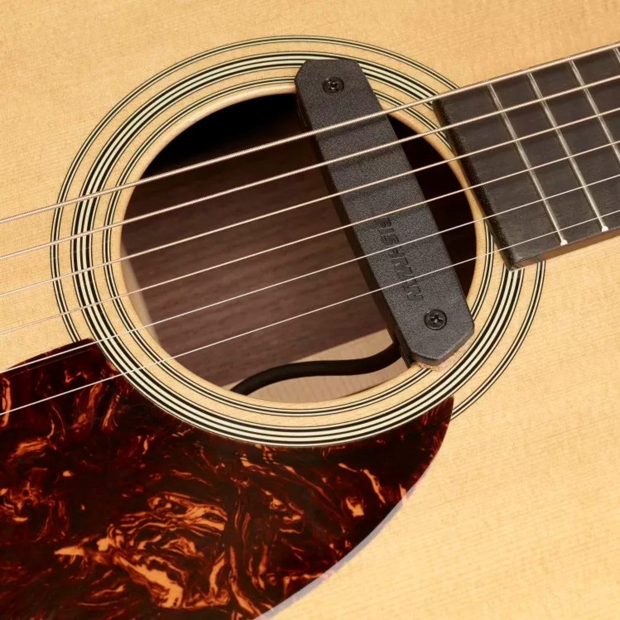 Pastilla Fishman Pro-neo-d01 Para Guitarra Acustica