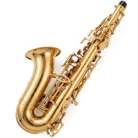 Thumbnail for SAX SOPRANO CURVO SILVERTONE LAQ C/EST. 111-3A, SLSX001