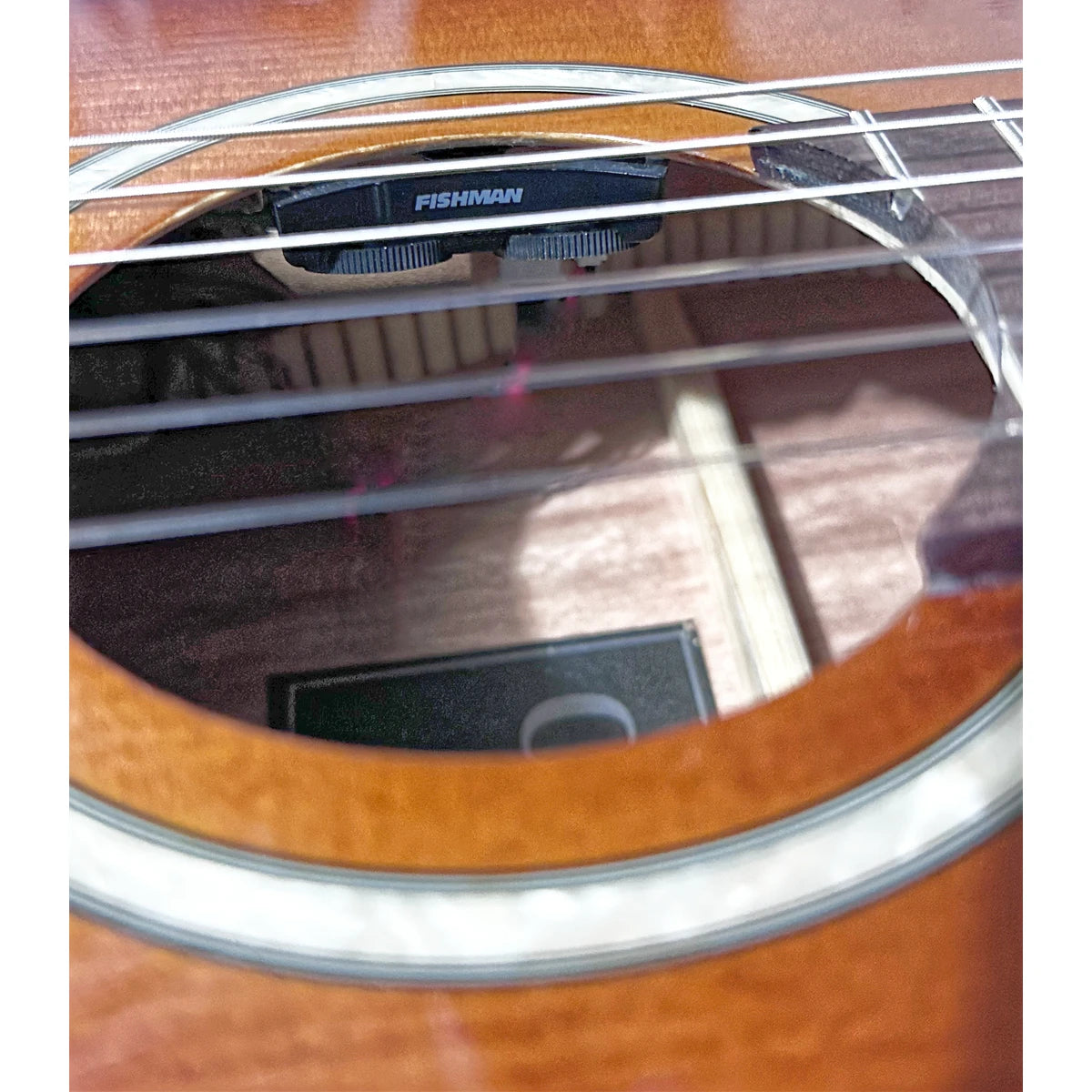 Guitarra Electroacustica Cordoba FUSION 5EB Sombreada