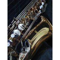 Thumbnail for SAX ALTO CENTURY COMBINADO CAS-200C, CNSX007
