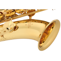Thumbnail for Sax Tenor Buffet Bc8102-1-010 Serie 100 Bb Laqueado