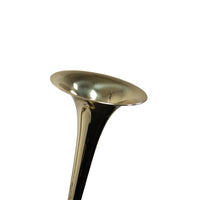 Thumbnail for Trombon Estándar, Bb/F Wesner De Vara Mod. Ptt2000f-l Latón Laqueado