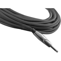 Thumbnail for Cable Evolution Evpp-15r Para Instrumento Plug A Plug 15 Metros