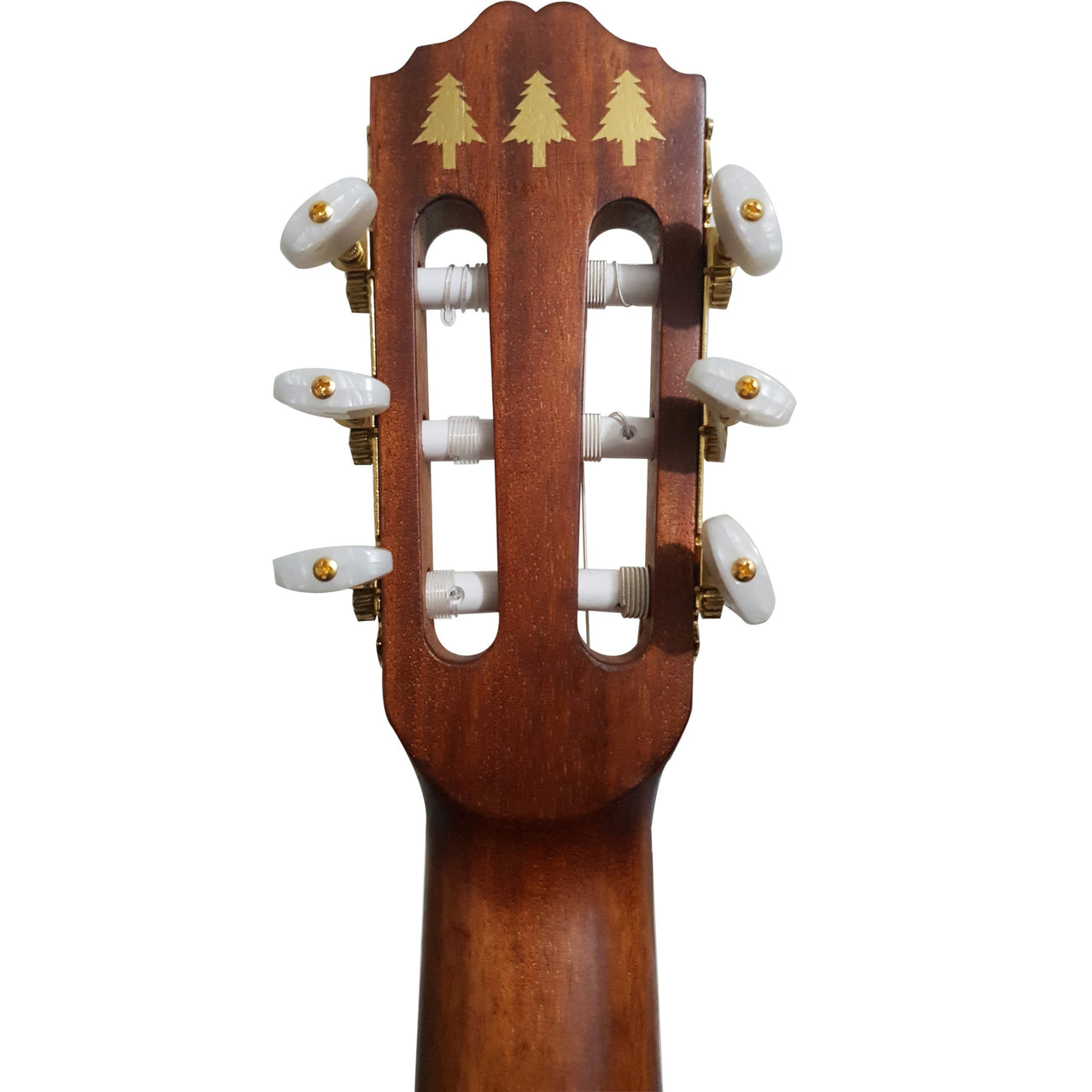 Guitarra Clasica Tres Pinos T. Pino F.palo D/c, Tscg-938n