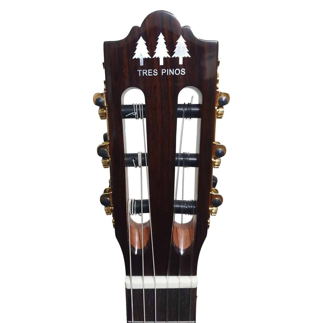 Guitarra Clasica Tres Pinos Tpcg-1000 Nt Natural