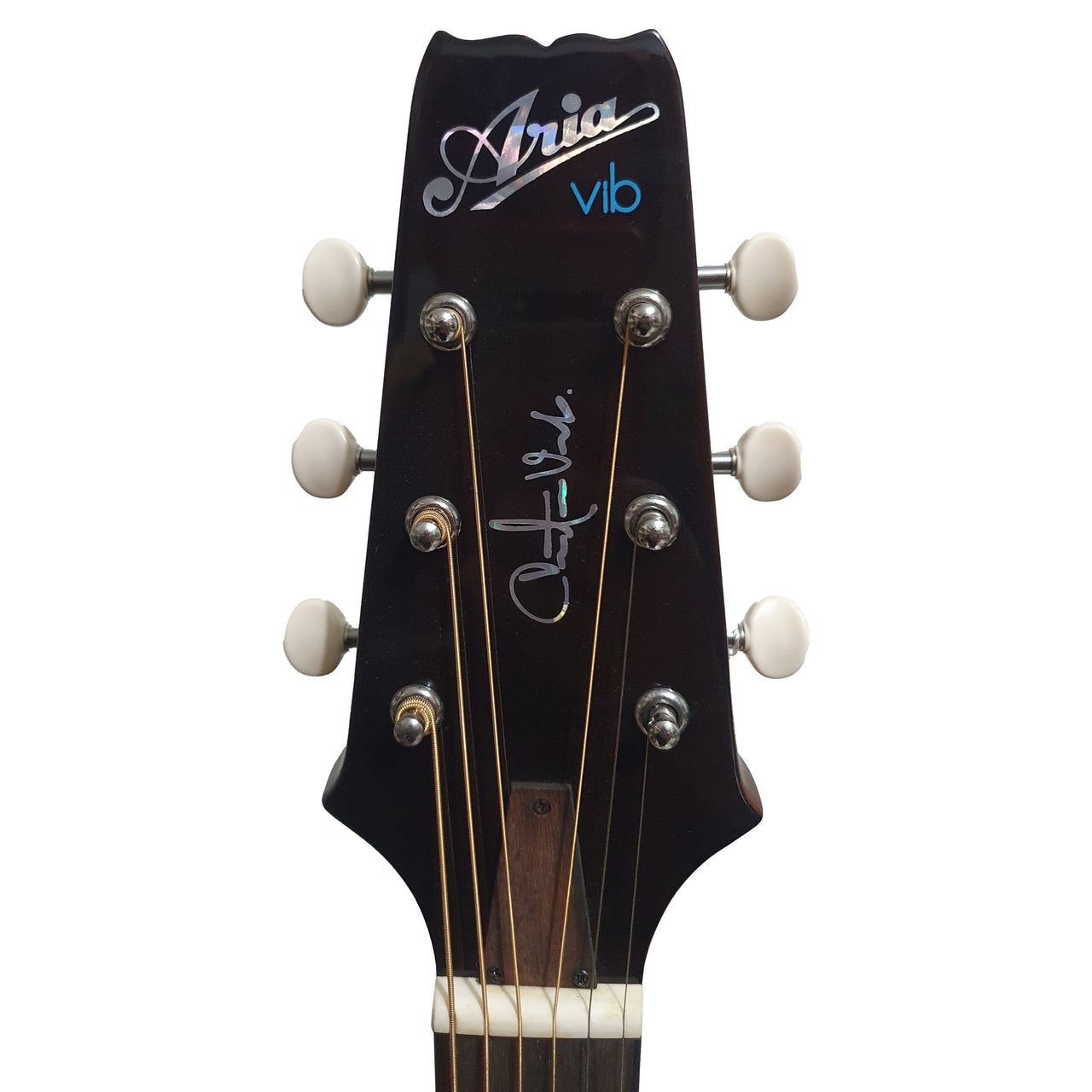 Guitarra Electroacustica Aria Vb-110ce Mh Edicion Christian Vib