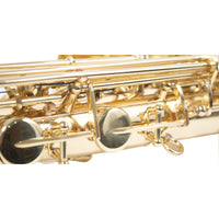 Thumbnail for Saxofon Wesner Alto Mod. Psa2000-l C/Estuche