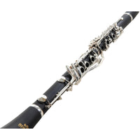 Thumbnail for CLARINETE ROY BENSON SIB, CB-217
