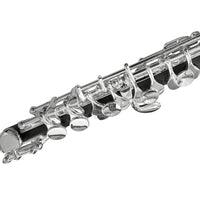 Thumbnail for FLAUTIN BLESSING (FLAUTA PICCOLO) DO C/EST. ABS, 6458IS