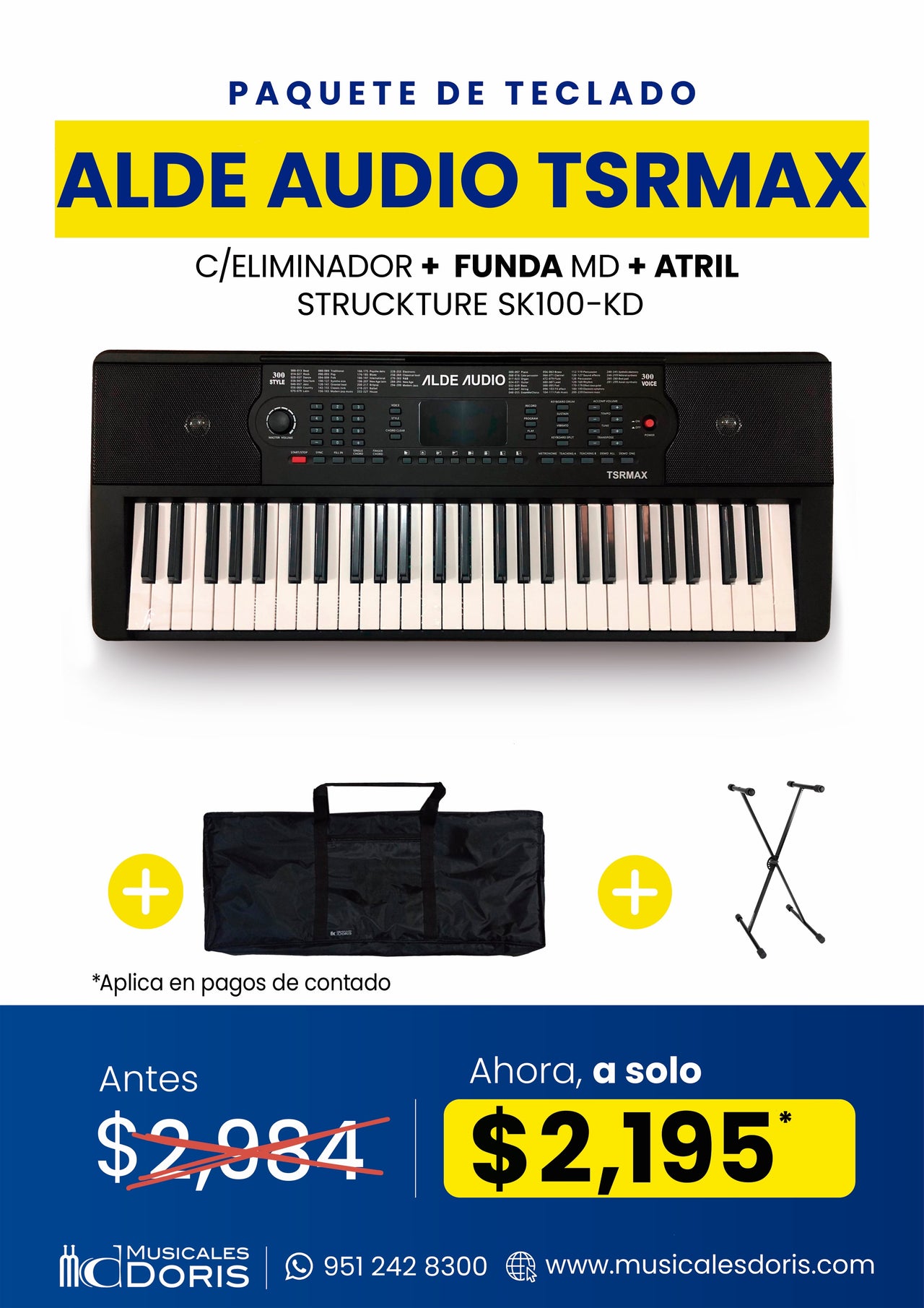 Paquete Teclado Alde Audio TSRMAX Con Accesorios Incluidos