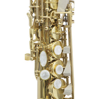 Thumbnail for Saxofon Maxima Soprano Recto Kfss-100g C/Estuche