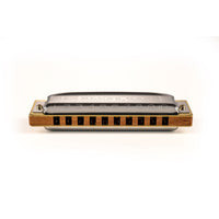 Thumbnail for ARMONICA HOHNER BLUES HARP FA 20V. 10A.M533066