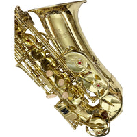 Thumbnail for Saxofon Alto Martinz Mwsxa01l Mib Laqueado Llave Fa# Con Estuche
