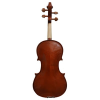 Thumbnail for Violin Amadeus Cellini Mv012b Brillante 4/4 Solid Boxwood Clav-bar
