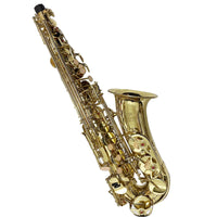 Thumbnail for Saxofon Alto Martinz Mwsxa01l Mib Laqueado Llave Fa# Con Estuche
