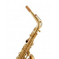 Thumbnail for SAX ALTO SILVERTONE LAQUEADO SAS-200L, SLSX009