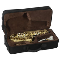 Thumbnail for Saxofon Soprano Curvo Maxima Laqueado  Kfcss-100g C/Estuche