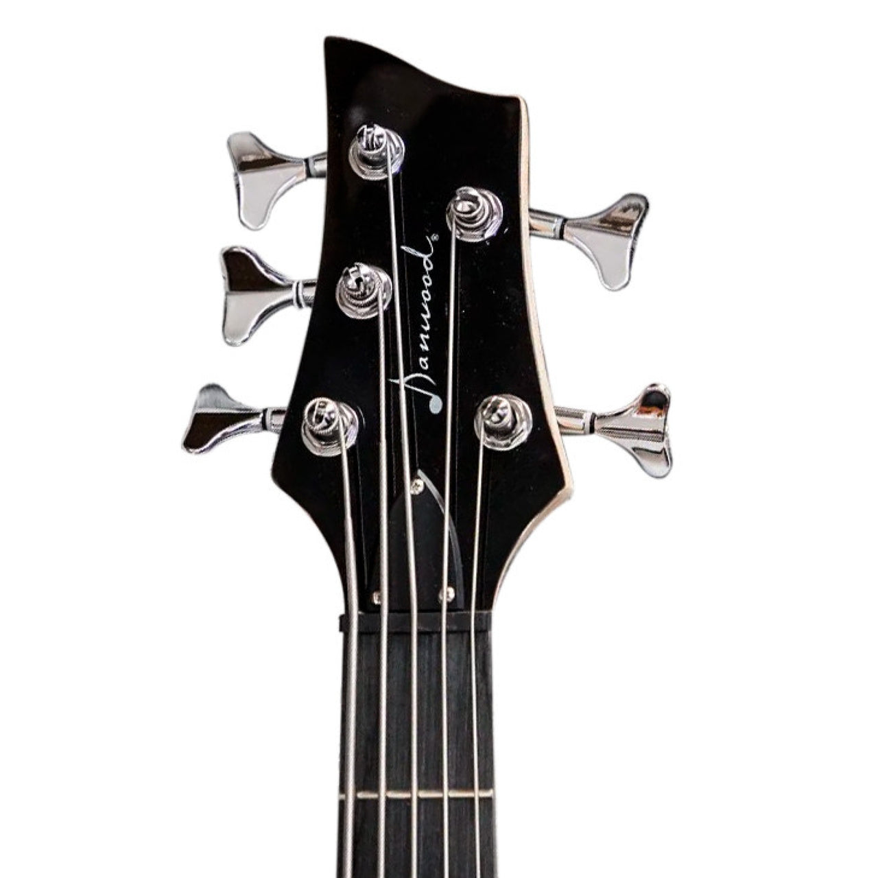 Bajo Electrico Danwood Ibwb35 5 Cuerdas 2 Pastillas Negro