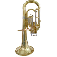 Thumbnail for Saxor Alto Vincenzo Florentino V-saxor-f Con Estuche