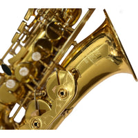 Thumbnail for SAX ALTO ROY BENSON LAQUEADO, AS-202