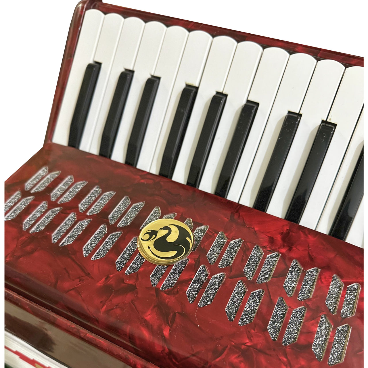 Acordeon Century Cnac028 Bandera 25 Teclas 12 Bajos