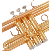 Thumbnail for TROMPETA YAMAHA LAQUEADA (2 desagues), YTR4335GII