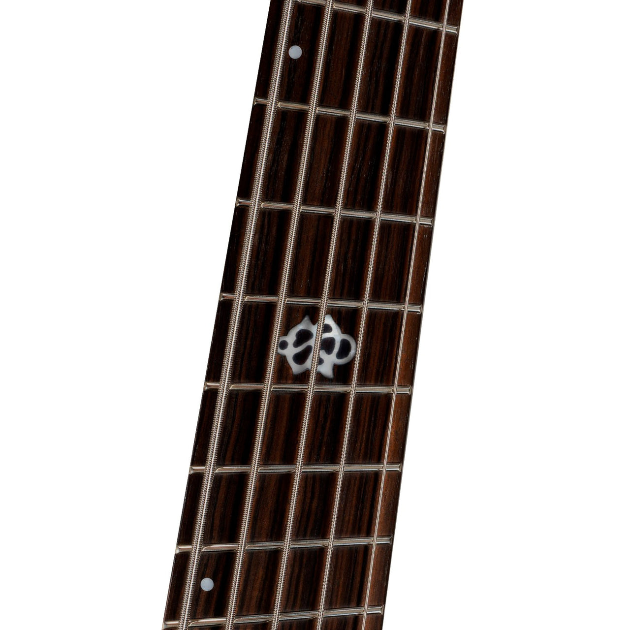 Bajo Electrico Spector Nsdm5gm Ns Dimension 5 Cuerdas Gunmetal Gloss