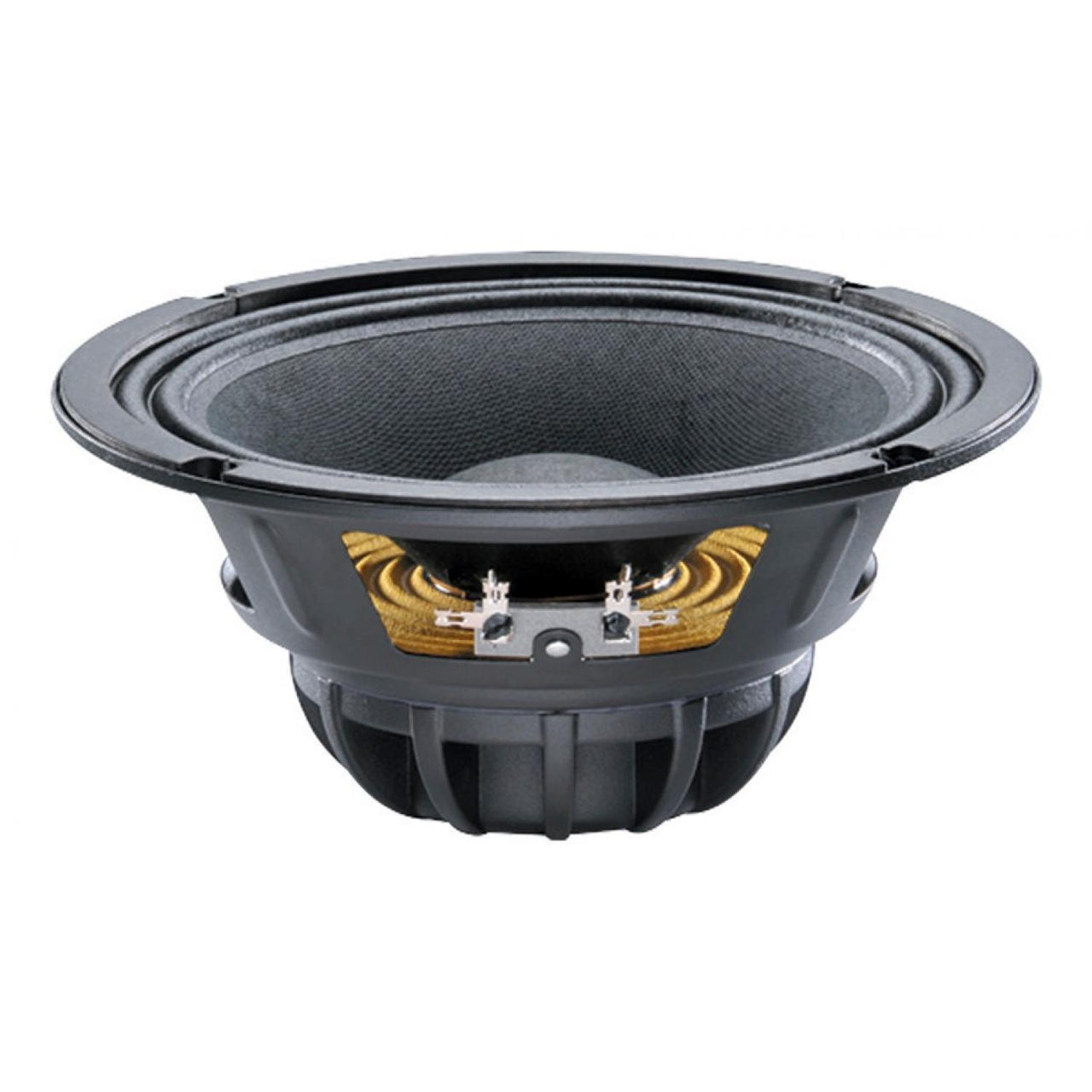 Celestion Tn0820 8 Ohms Bocina Neodimio 8 Pulgadas