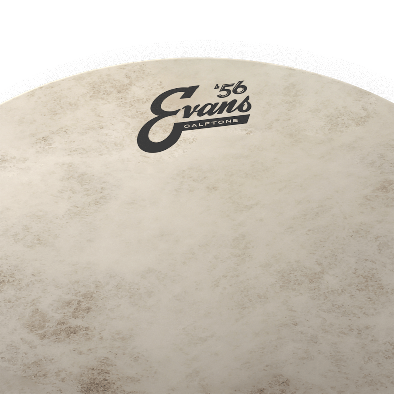 Parche Evans 16" Calftone '56, Tt16c7