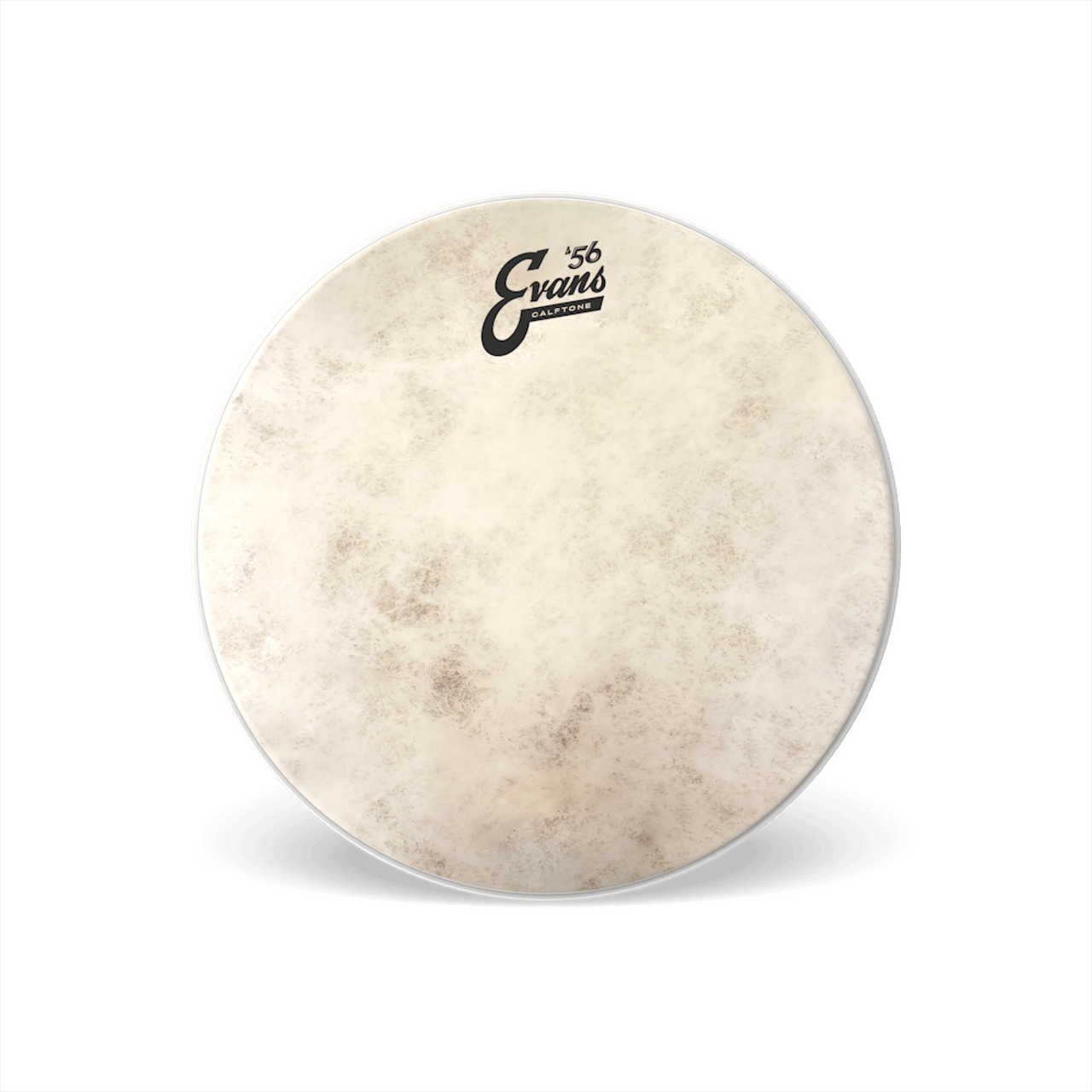 Parche Evans 16" Calftone '56, Tt16c7