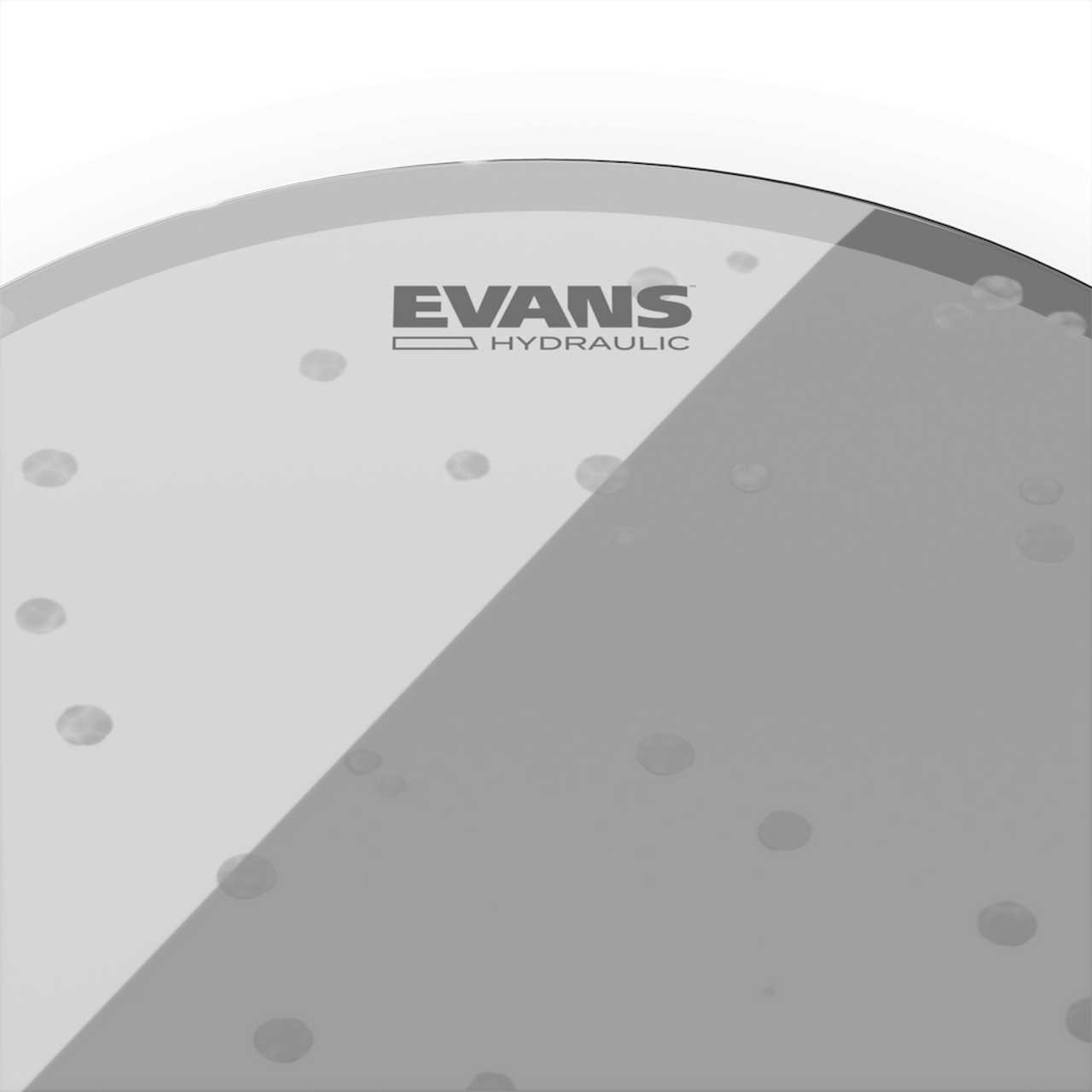 Parche Evans 13” Hidráulico Transparente, Tt13hg