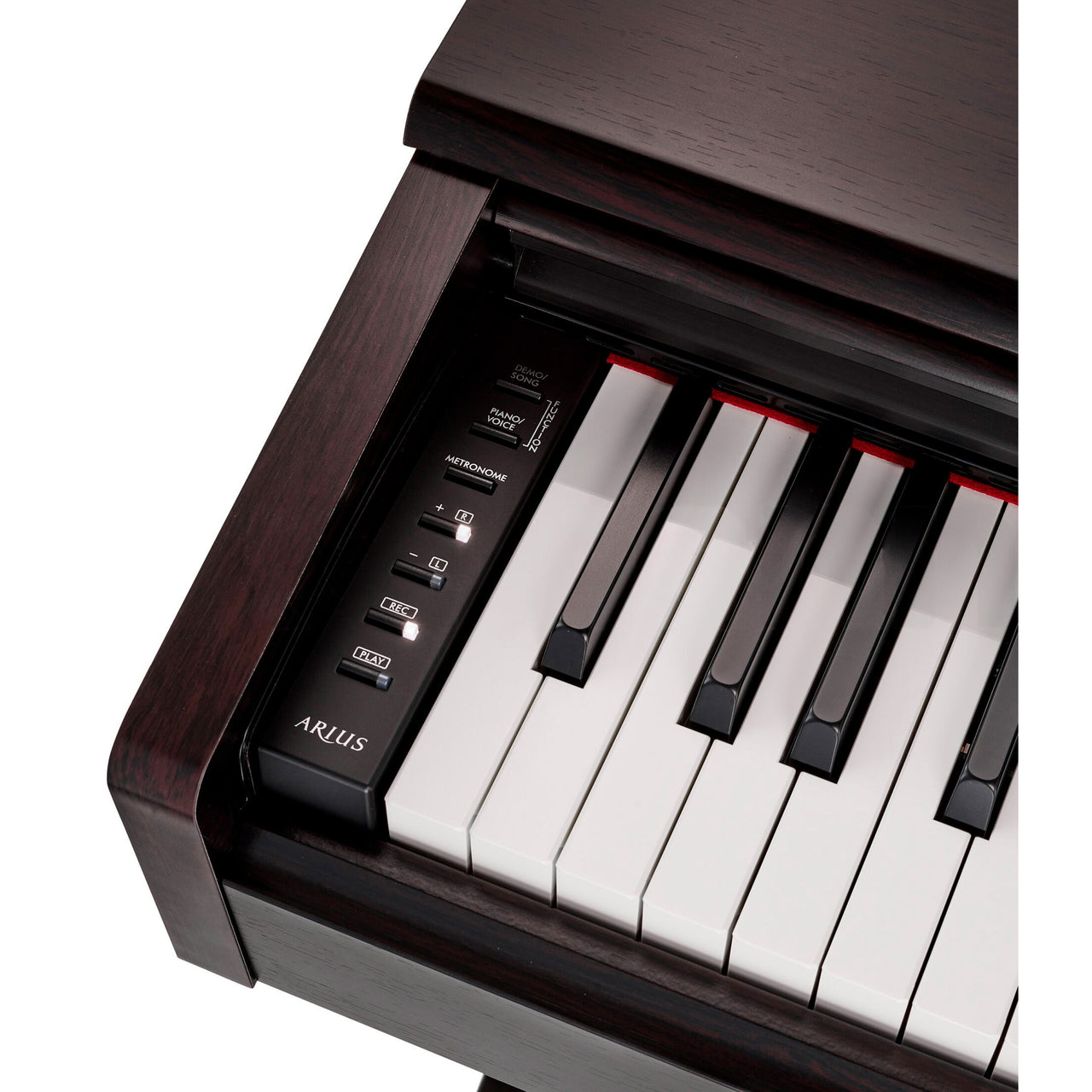 Piano Digital Yamaha Arius Rosewood C/adaptador Pa150, Ydp145rset