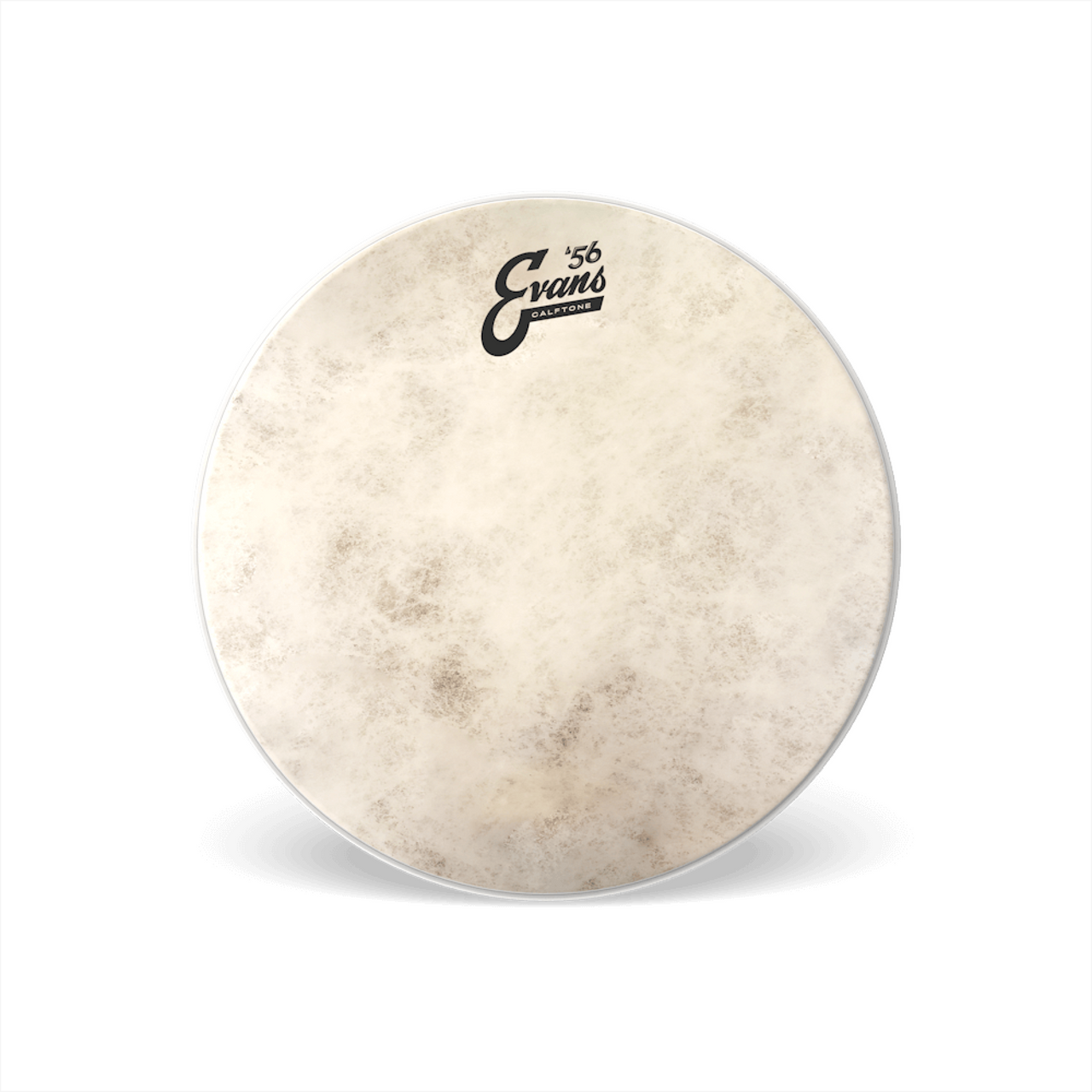 Parche Evans 12" Caftone 56, Tt12c7