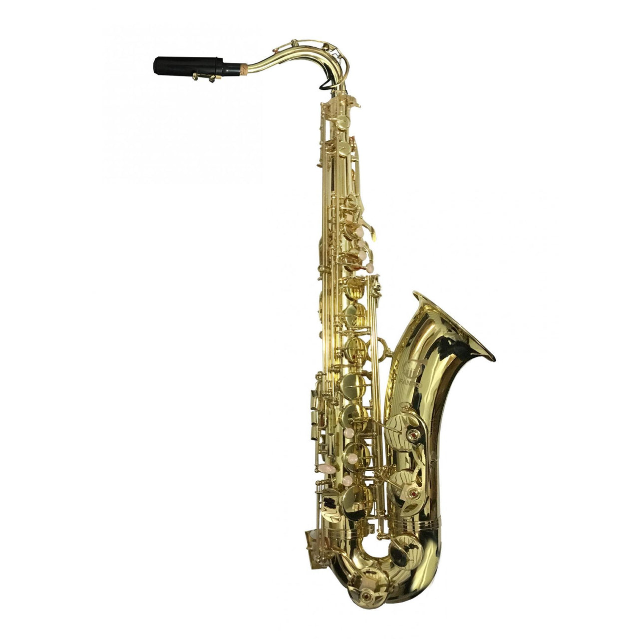 Sax Tenor Fanpro Sxtenor Laqueado