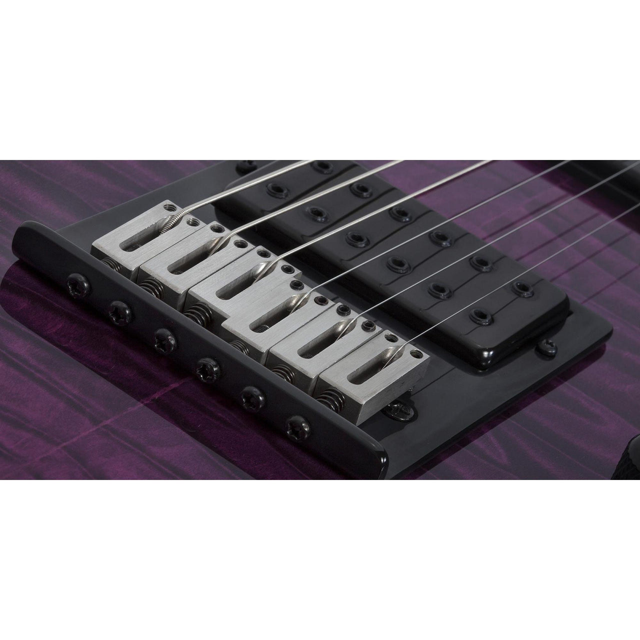 Guitarra Electrica Schecter Pt Pro-ebony Purpura