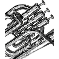Thumbnail for Saxor Alto Infinity Niquelado C/Est., 2411n