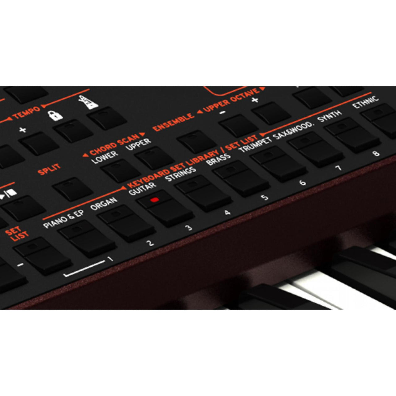 Teclado Korg Sintetizador Arranger, Pa 1000