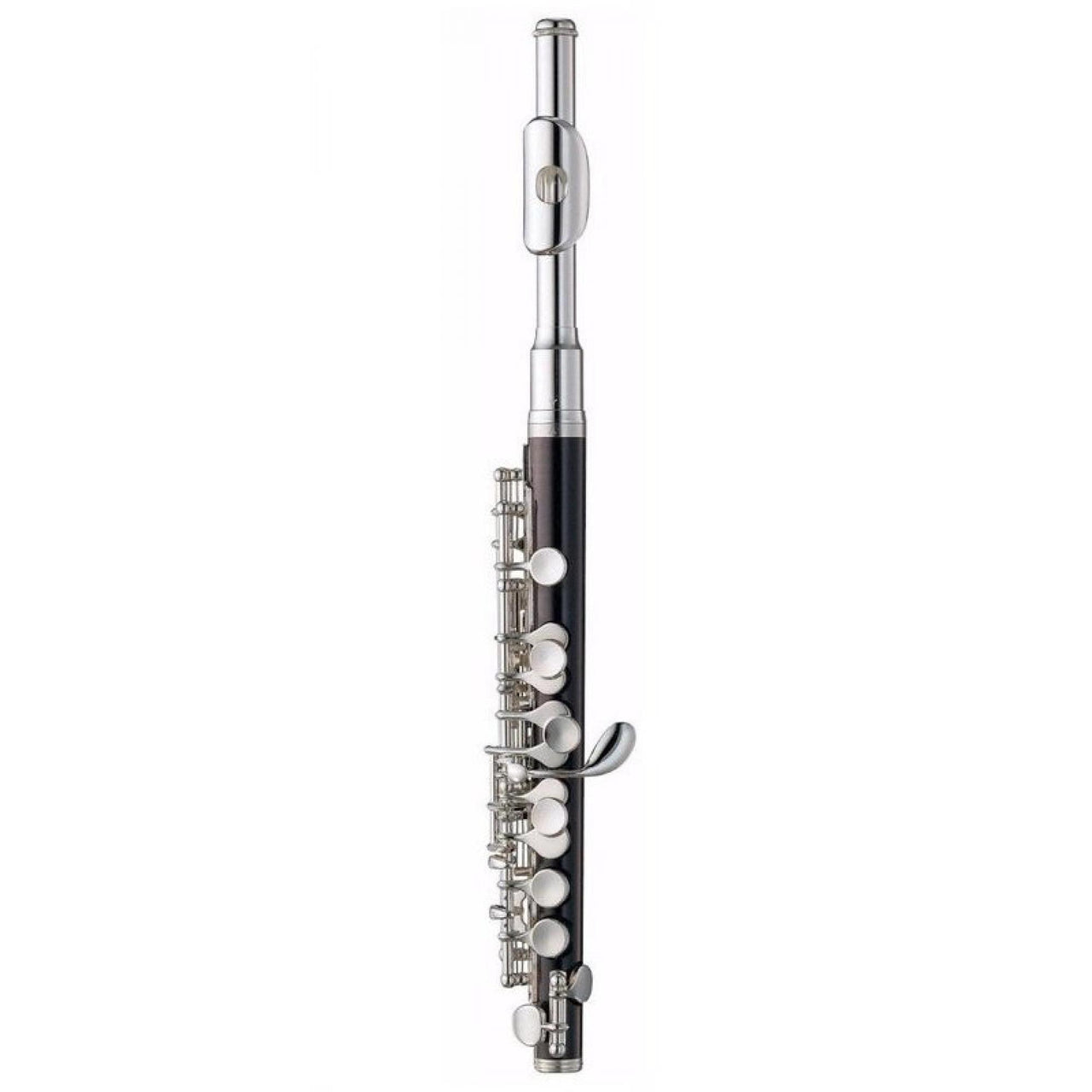 Flautin Blessing (flauta Piccolo) Do C/est. Abs, 6458is