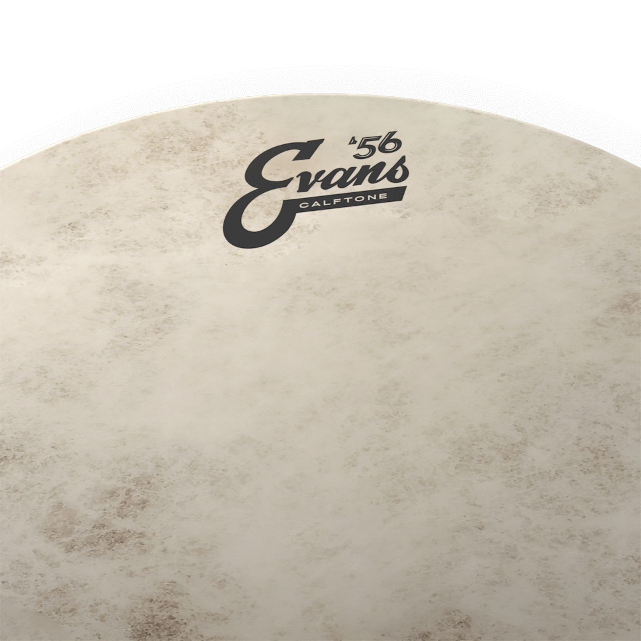 Parche Evans 12" Caftone 56, Tt12c7
