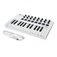 Thumbnail for Controlador Arturia Midi Usb 25 Teclas, Arturia Minilab Mkii