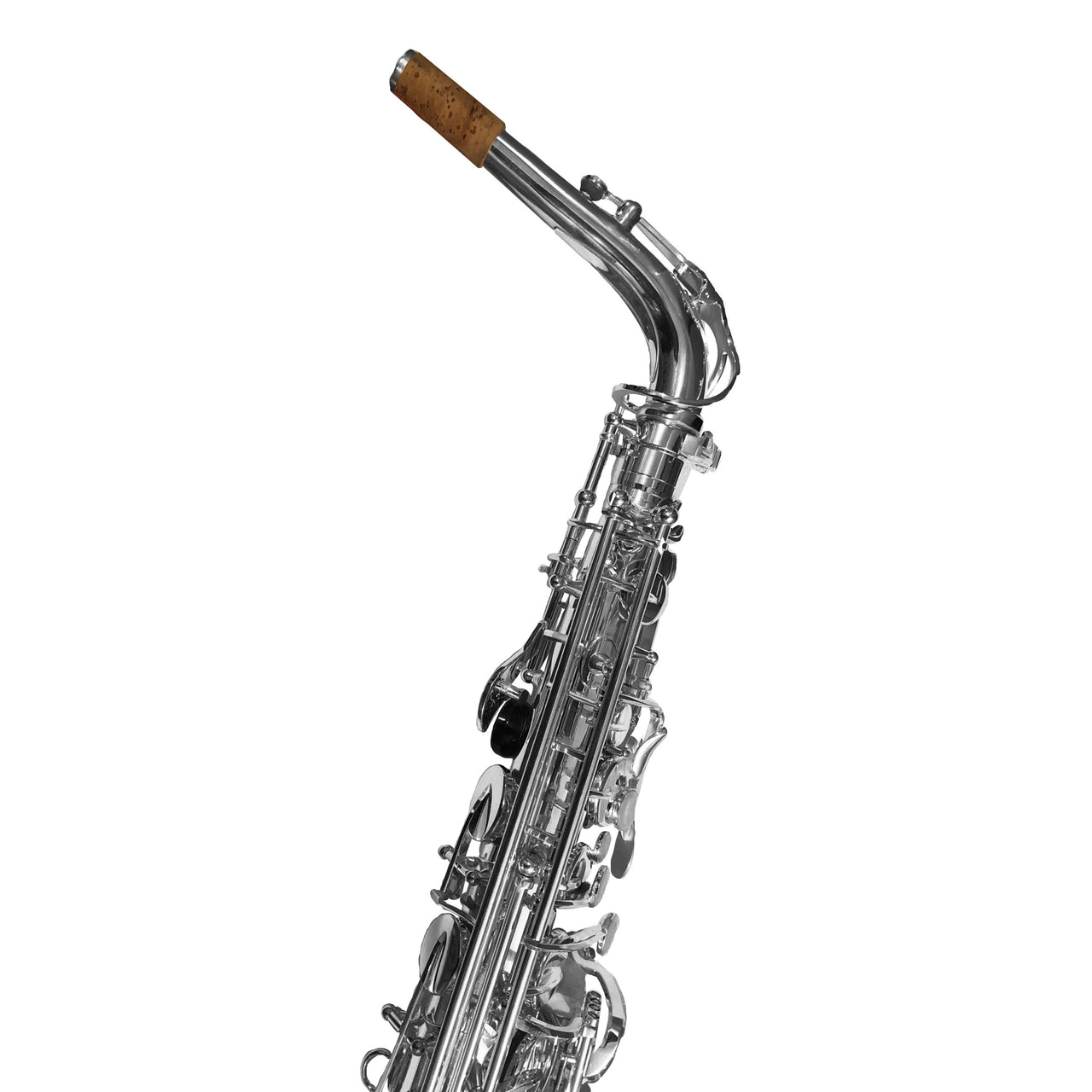 Sax Alto Fanpro Sxplata Mib Plateado