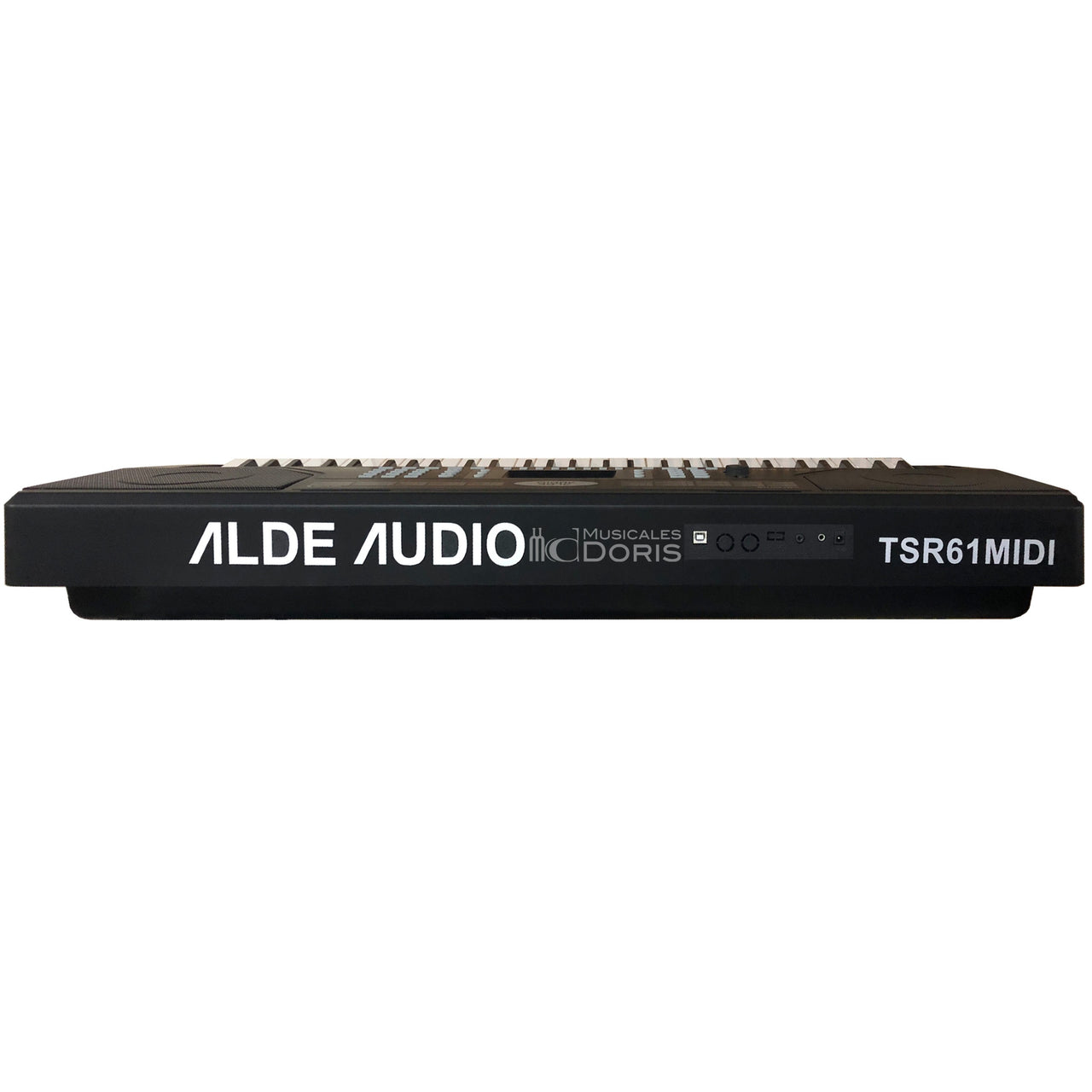 Teclado Alde Audio Tsr61midi 61 Teclas 300 Tonos Con Sensibilidad