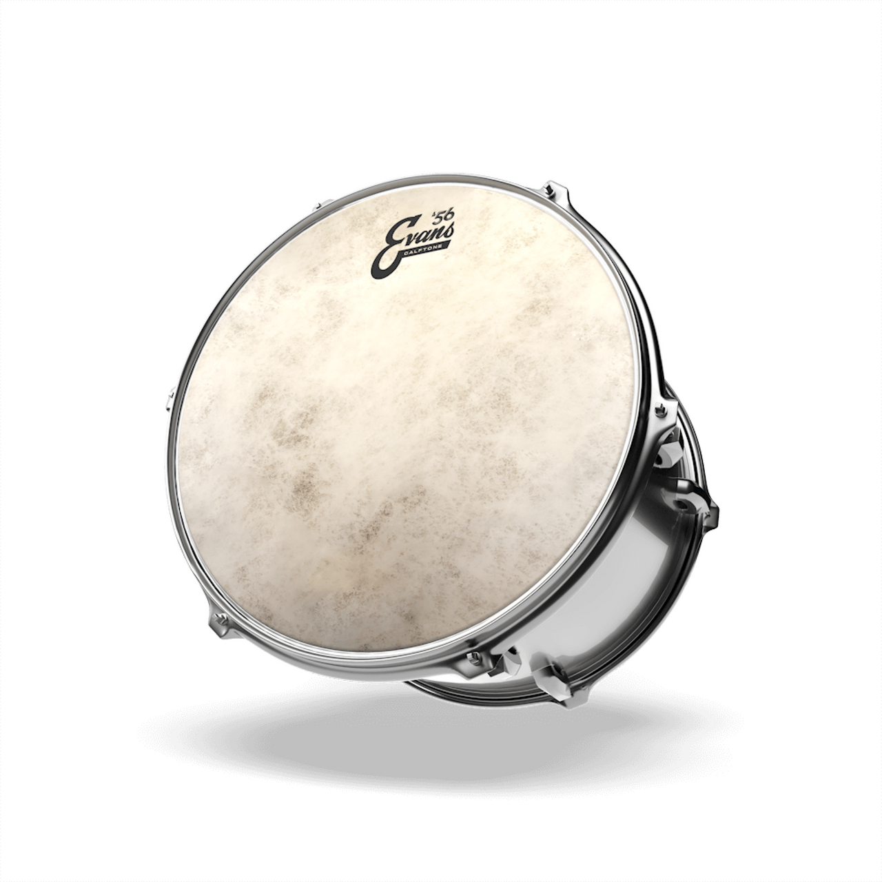 Parche Evans 16" Calftone '56, Tt16c7