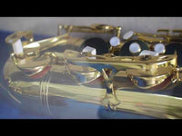 Abrazadera Bg France L12 Standard P/Sax Alto, Bfab004